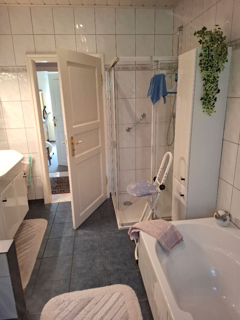 Badezimmer vor der Sanierung, Ansicht von Dusche und Badewanne.